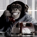 Monkeys calling on the phone