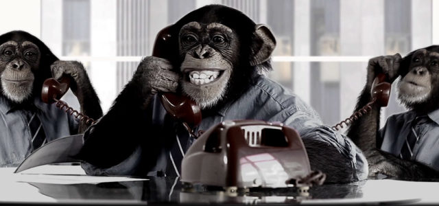 Monkeys calling on the phone